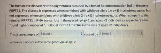 The human eye disease retinitis pigmentosa is caused by a loss of function mutation (rp) in the gene PRPF31. The disease is e