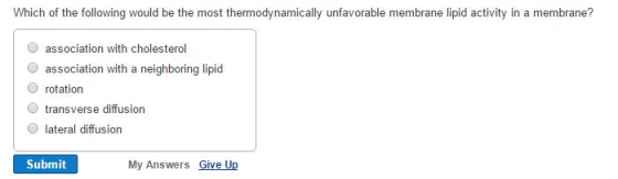 Which of the following would be the most thermodyn