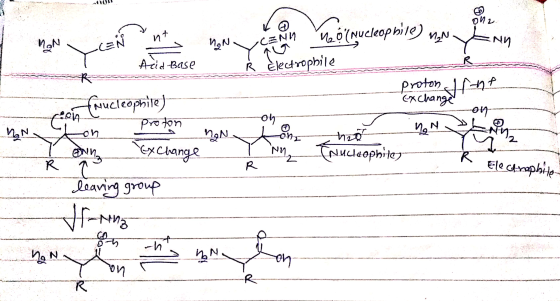 OL wt qua Acid Base non viene Meo (nucleophile) N T Electrophile proton front Exchange on non L I NM (Nucleophite on - nonton