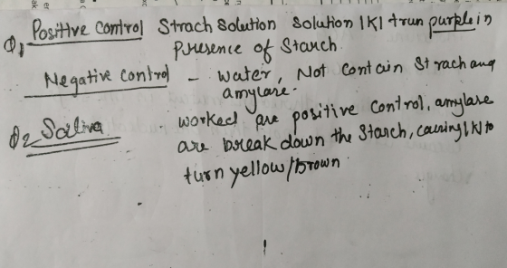 Positive control Strach Solution Solution Iki trun purplein presence of Stauch Negative control - water, Not contain Strachan