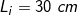 \small L_{i}= 30 \; cm