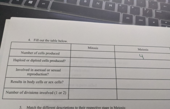 B alt N M 4. Fill out the table below. Mitosis Meiosis Number of cells produced 4 Haploid or diploid cells produced? Involved