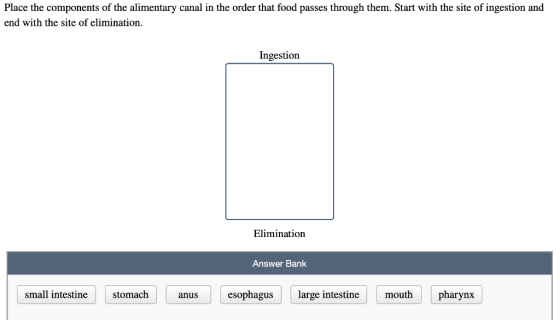 Place the components of the alimentary canal in the order that food passes through them. Start with the site of ingestion and