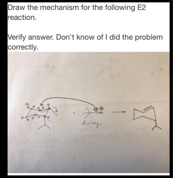 Draw the mechanism for the following E2 reaction. Verify answer. Dont know of I did the problem correctly. © - Ona HHH bulky