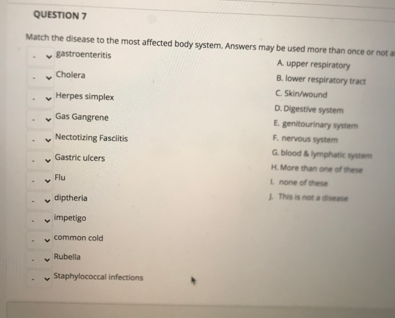QUESTION 7 Match the disease to the most affected body system. Answers may be used more than once or not a gastroenteritis A.