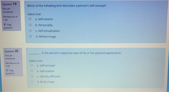 Which of the following best describes a persons self-concept? Question 19 Not yet answered Marked out of 100 P Flag question