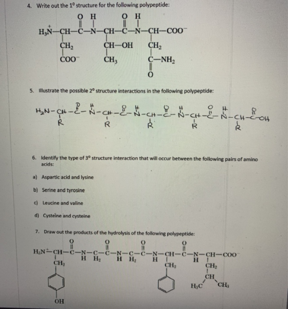 4. Write out the 10 structure for the following polypeptide: он он HyN-CH-C-N-CH-C-N-CH-COO CH2 CH-OH CH C-NH2 CH3 COO 5. Ill