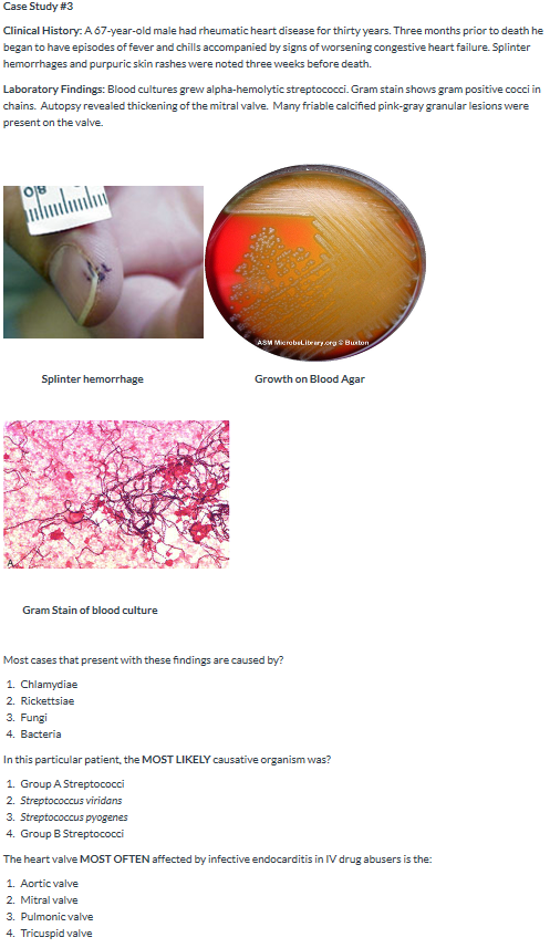 Case Study #3 Clinical History: A 67-year-old male had rheumatic heart disease for thirty years. Three months prior to death