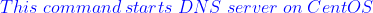 \color{blue}This\;command\;starts\;DNS\;server\;on\;CentOS