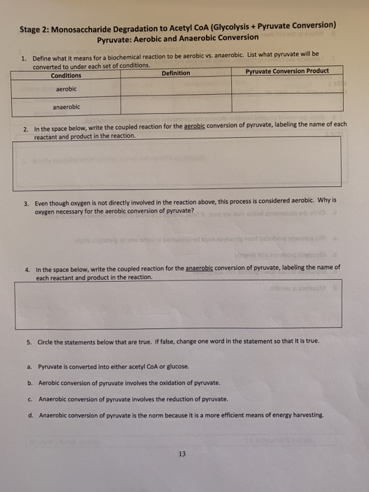 Stage 2: Monosaccharide Degradation to Acetyl CoA (Glycolysis + Pyruvate Conversion) Pyruvate: Aerobic and Anaerobic Conversi