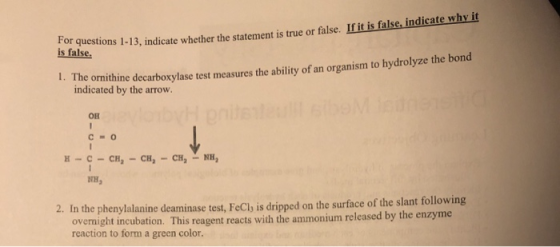 For questions 1-13, indicate whether is false. ons 1-13, indicate whether the statement is true or false. If it is false, ind