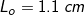 \small L_{o}= 1.1 \; cm
