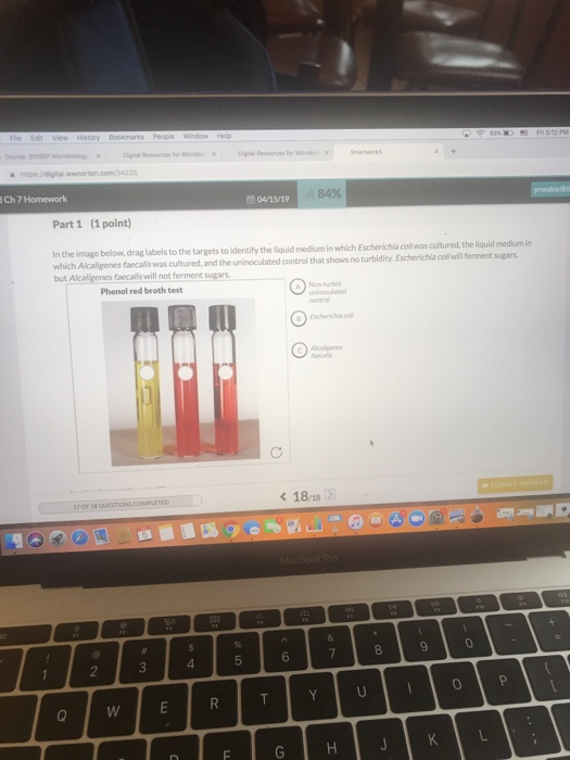 84% Ch 7 Homework 04/15/19 Part 1 (1 point) In the image below drag labels to the targets to identify the liquid medium in wh
