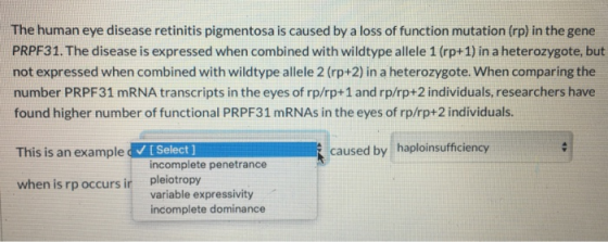 The human eye disease retinitis pigmentosa is caused by a loss of function mutation (rp) in the gene PRPF31. The disease is e