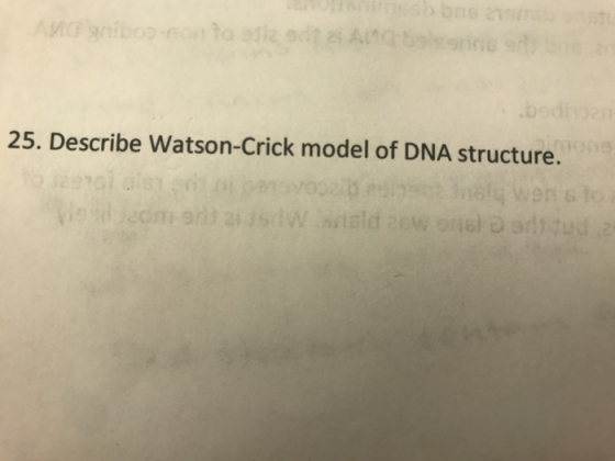 ab bns e t And goito-ronto sia 9 2 Andonesia 20 25. Describe Watson-Crick model of DNA structure. bol distr ibuig wen 10 Valo
