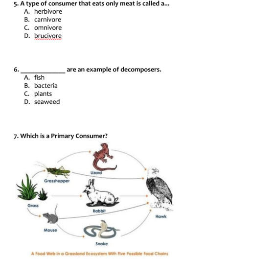 5. A type of consumer that eats only meat is called a... A. herbivore B. carnivore C. omnivore D. brucivore are an example of