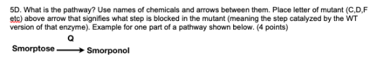 5D. What is the pathway? Use names of chemicals and arrows between them. Place letter of mutant (C,D,F etc) above arrow that