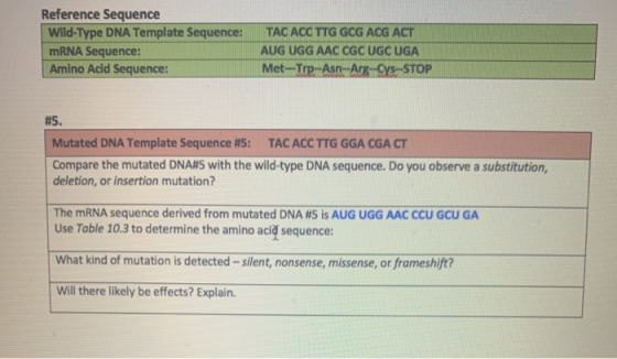Reference Sequence Wild-Type DNA Template Sequence: mRNA Sequence: Amino Acid Sequence: TAC ACC TTG GCG ACG ACT AUG UGG AAC C