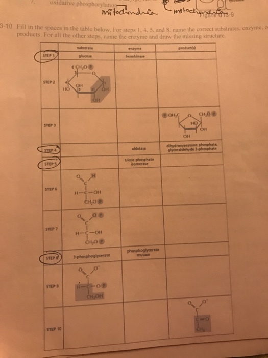 oxidative phosphorylation 3-10 Fill in the spaces in the table below. For steps 1.4.5. and s name the correct substrates, enzyme, o products. For all the other step name the enzyme and draw the missing structure. C-OH CHO CHro phosphoglycerate 3phosphogboerate STEP 10