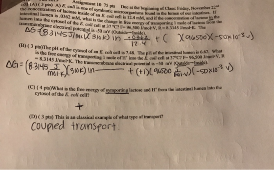 15 pts Due at the beginning of Class: Friday, November 22 lumen into thien is.0362 mm.de of an E.coli soorganisms found in th