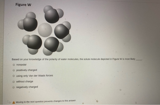 Figure W Based On Your Knowledge Of The Polarity Of Water Molecules The Solute Molecule 