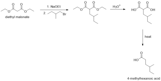 Нзо* 1. NaOEt Но ОН 2. Br diethyl malonate heat Но 4-methylhexanoic acid