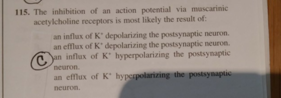 The inhibition of an action potential via muscarinic acetylcholine receptors is most likely the result of: 115. an influx of K depolarizing the postsynaptic neuron. an efflux of K depolarizing the postsynaptic neuron. an influx of K hyperpolarizing the postsynaptic neuron. an efflux of K hyperpolarizing the postsynaptic neuron.