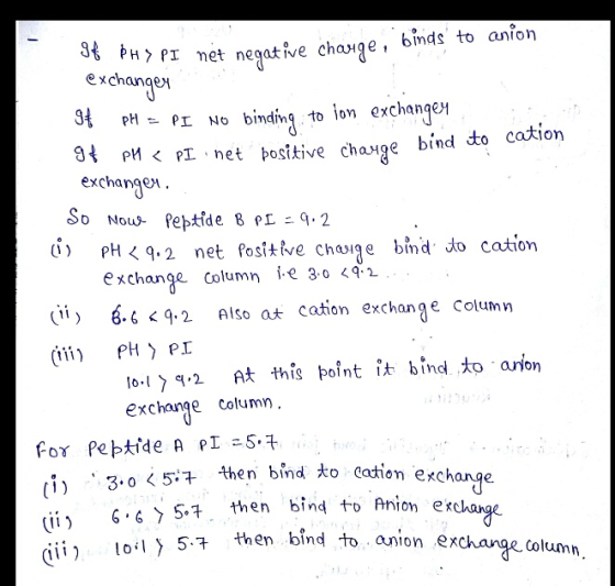 34 PHY PI net negative change, bu binds to anion exchanges 94 PH = PI NO binding to lon exchanger 94 PH < PI i net positive c