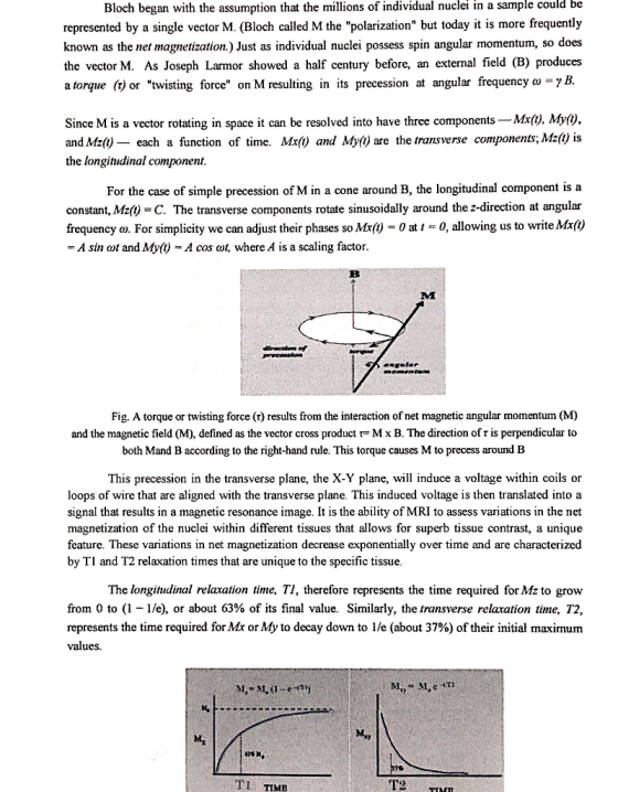 Bloch began with the assumption that the millions of individual nuclei in a sample could be represented by a single vector M.