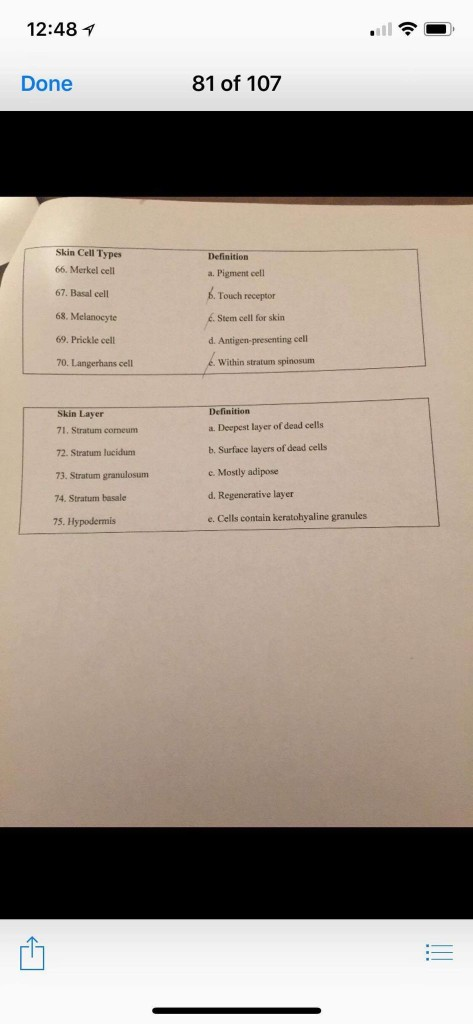 12:48イ Done 81 of 107 Skin Cell Types Definition 66. Merkel cell 67. Basal cell 68. Melanocyte 69. Prickle cell 70. Langerhan