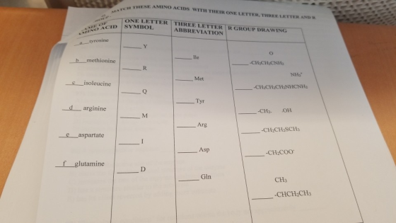 THESE AMINO ACIDS WITH THEIR ONE LETTER. TRY LETTER AND WATCH ONE LETTER THREE LETTER R GROUP DRAWING ABBREVIATION ACID SYMBO