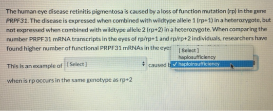 The human eye disease retinitis pigmentosa is caused by a loss of function mutation (rp) in the gene PRPF31. The disease is e