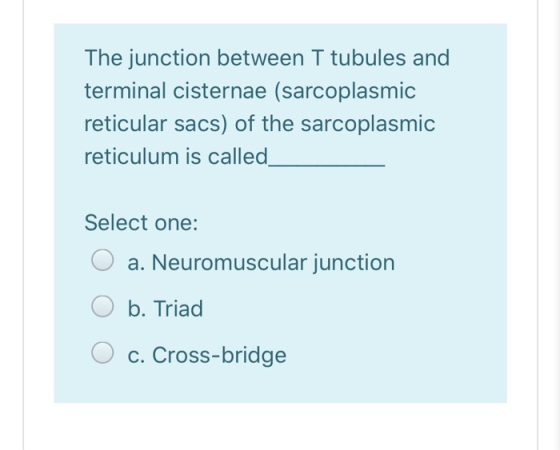 The junction between T tubules and terminal cisternae (sarcoplasmic reticular sacs) of the sarcoplasmic reticulum is called S