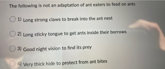 The following is not an adaptation of ant eaters to feed on ants 1) Long strong claws to break into the ant nest O2) Long sti