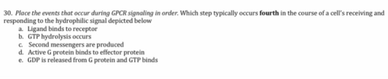 30. Place the events that occur during GPCR signaling in order. Which step typically occurs fourth in the course of a cells