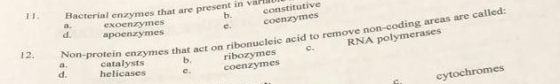 b. a. d. Non-protein enzymes tha catalysts b. helicases Bacterial enzymes that are present in van exoenzymes constitutive apo