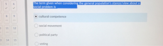 The term given when considering the general populations stance/view about a social problem is cultural competence social mov