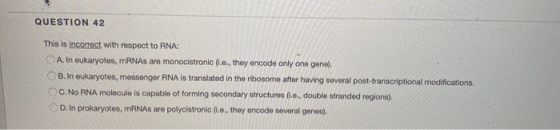 QUESTION 42 This is incorrect with respect to RNA: A. In eukaryotes, mRNAs are monocistronic (.e., they encode only one gene)