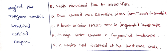 E. Needs Prescribed fire for restoration . ID. Once covered over 120 million seres from Texas to canada longleaf pine . Tallg