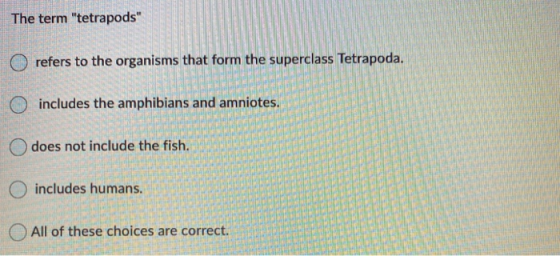 The term tetrapods refers to the organisms that form the superclass Tetrapoda. includes the amphibians and amniotes. does n