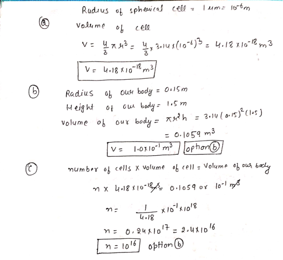 Volume »cei 2 3 12 Radius ob oust body=0+15m o.1o5q m3 mumbrYob cells X volume ‘b (ell: Volume obouab 118 ทะ 0,24 l o 1ヌー2.ux1D16