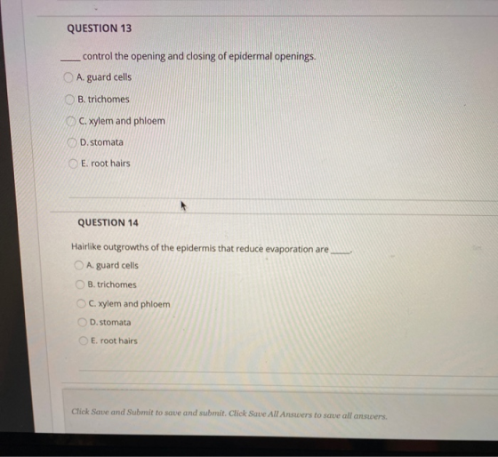 QUESTION 13 control the opening and closing of epidermal openings. A. guard cells B. trichomes C. xylem and phloem D.stomata