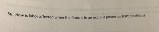 58. How is labor affected when the fetus is in an occiput posterior (OP) position?