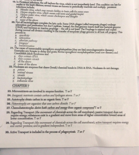 LUROVE 19. In Persistent infections, the cell harbors the virus which is not immediately lysed. This condition can be lor wee