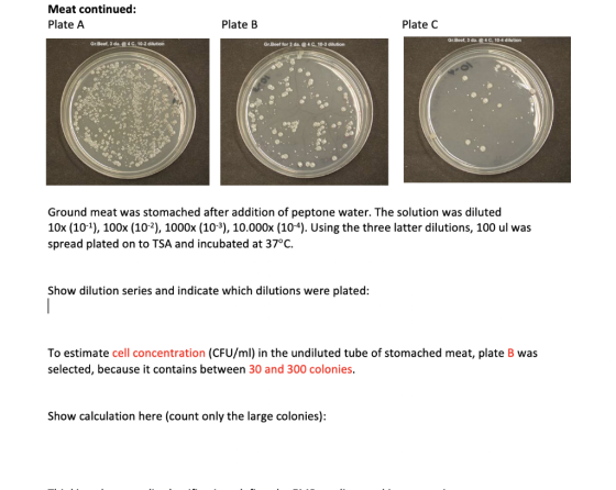 Meat continued: Plate A Plate B Plate C Gr.Beel, 3 da. 4C, 10-4 dilution Gr.Beel, 3 da. @ 4C, 10-2 dilution Gr.Beef for 3 da.