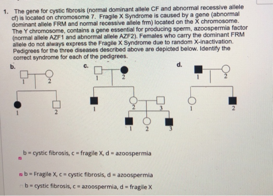 1. The gene for cystic fibrosis (normal dominant allele CF and abnormal recessive allele cf) is located on chromosome 7. Frag