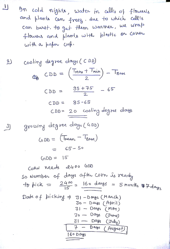 8m cold nights , wal erin alls of fltuAuls com free dua to which cal i we wra 2 cooling dagree dl 2 CDD 20 coli dlegree dlouys CoRN neeos 3400 GDD So Number of d ays afhr Corn Js r**a 2400- 160 day = 5 month寻ヌday IS Date of þickingラ 31-Dogs (March) 3oDauys (April)