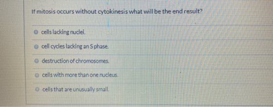 If mitosis occurs without cytokinesis what will be the end result? cells lacking nuclei. cell cycles lacking an Sphase. e des