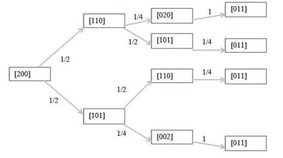 1 [011] 1/4 [020] [110] 1/4 [011] 12[101] 1/2 1/4 | [011] [110] 10 [200] 1/2 1/2 [101] 1/4 [0021 (011]