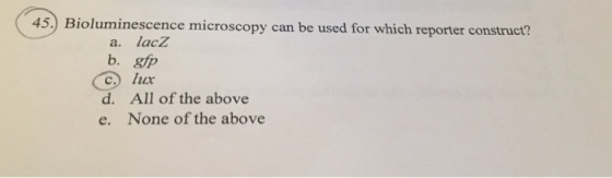 45. Bioluminescence microscopy can be used for which reporter construct? a. lacz b. gfp c. lux d. All of the above e. None of the above